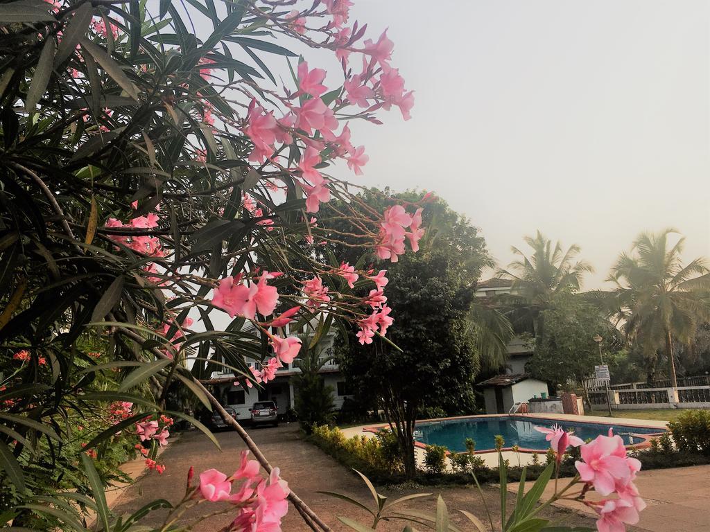 Gr Stays - Duplex 3Bhk Villa With Pool Arpora I Baga Beach 5 Mins ภายนอก รูปภาพ